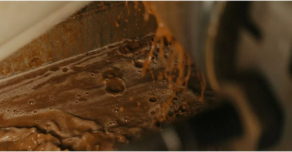 Our Juice: Truth, Taste, and Tradition